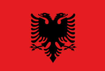 Custom icon
